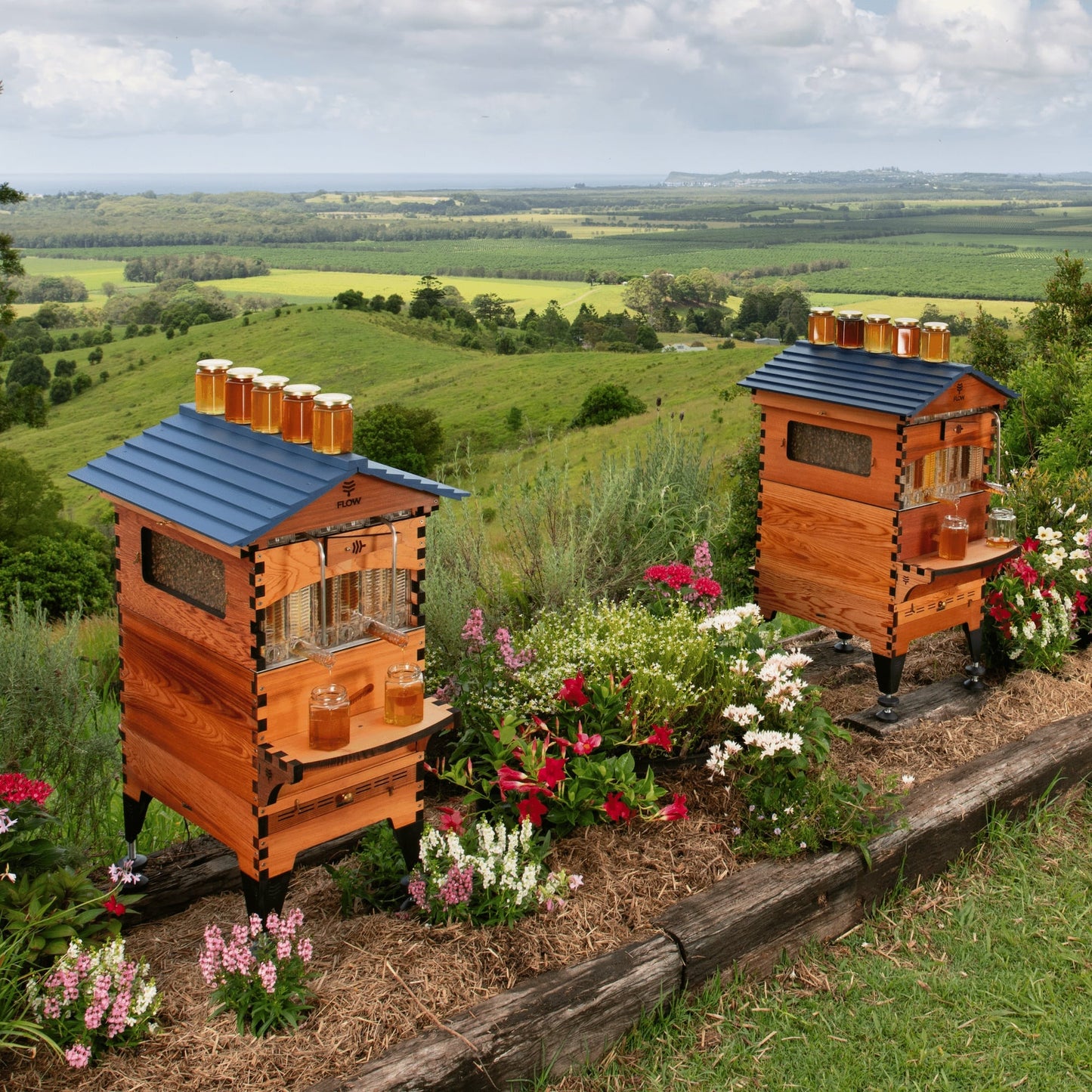 Flow Hive 2+ Premium Cedar Beehive Kit – Easy Honey Harvesting