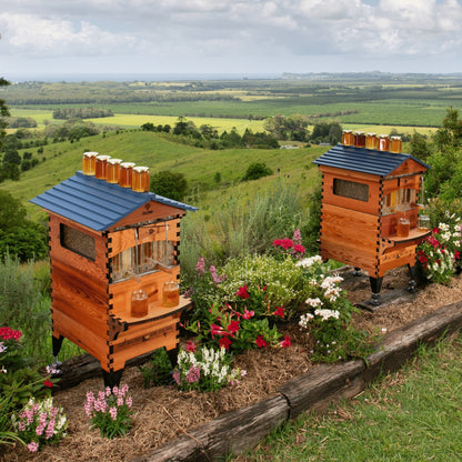 Flow Hive 2+ Premium Cedar Beehive Kit – Easy Honey Harvesting